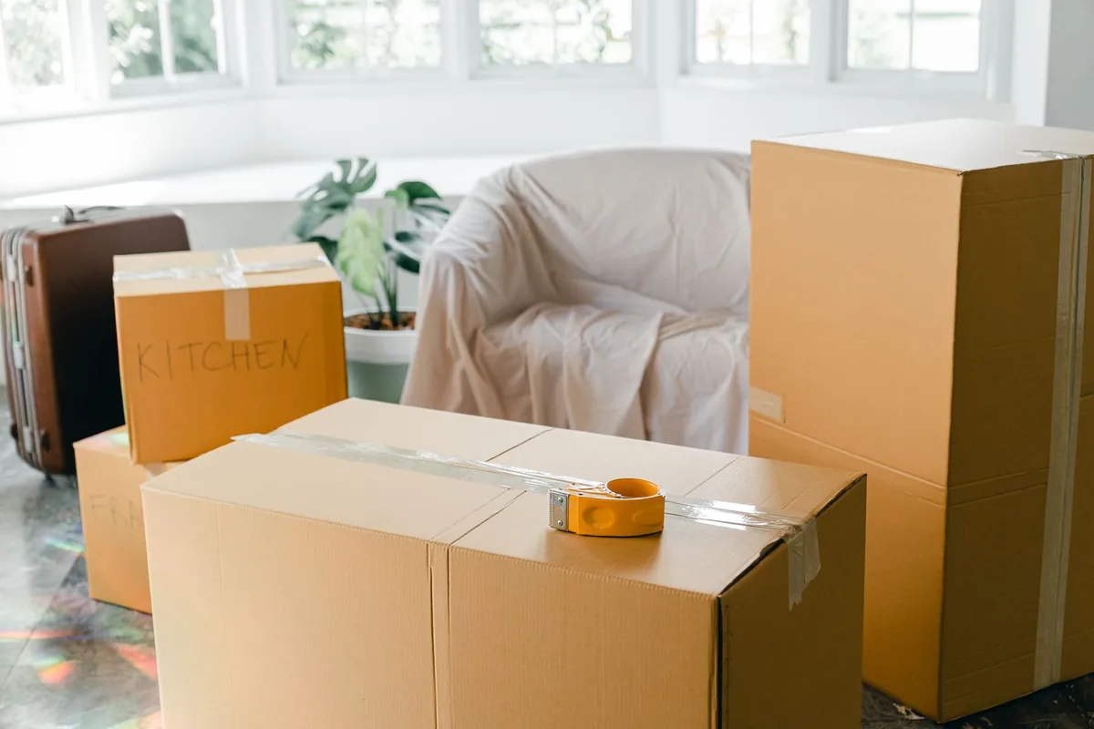Hoarding Cleanup in San Anselmo, CA